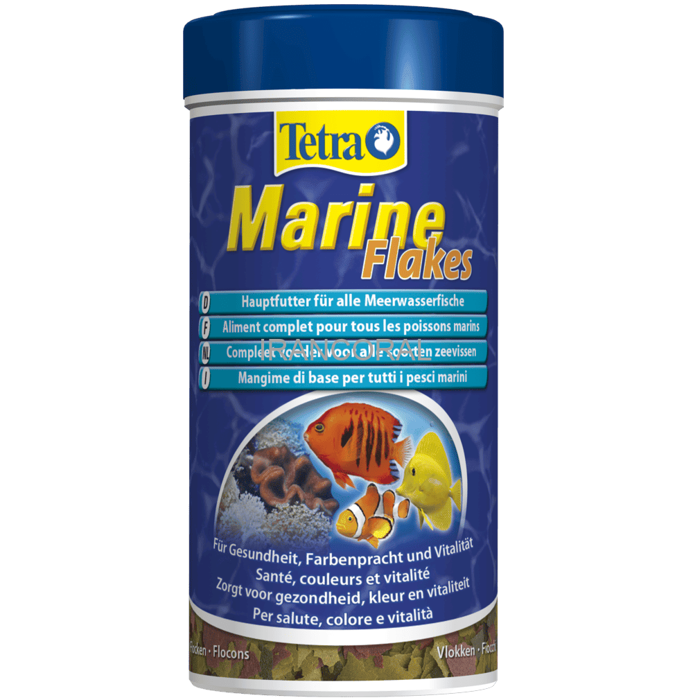 غذای پولکی آب شور تترا