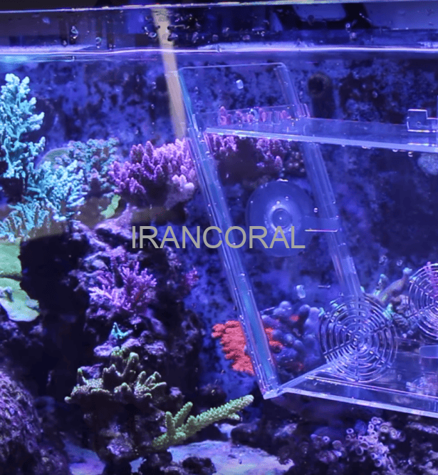 تله ماهی آکواریوم