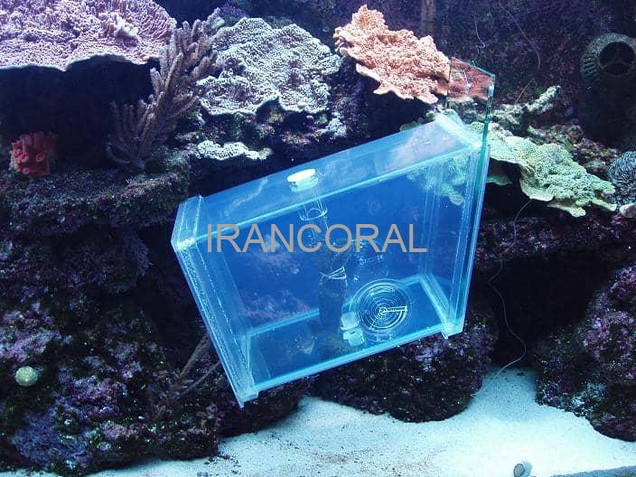 تله ماهی آکواریوم