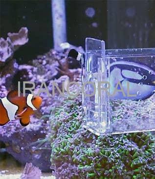 تله ماهی آکواریوم