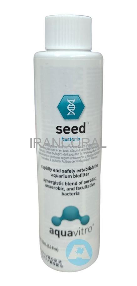 باکتری سید آکواویترو