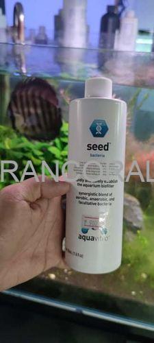 باکتری سید آکواویترو