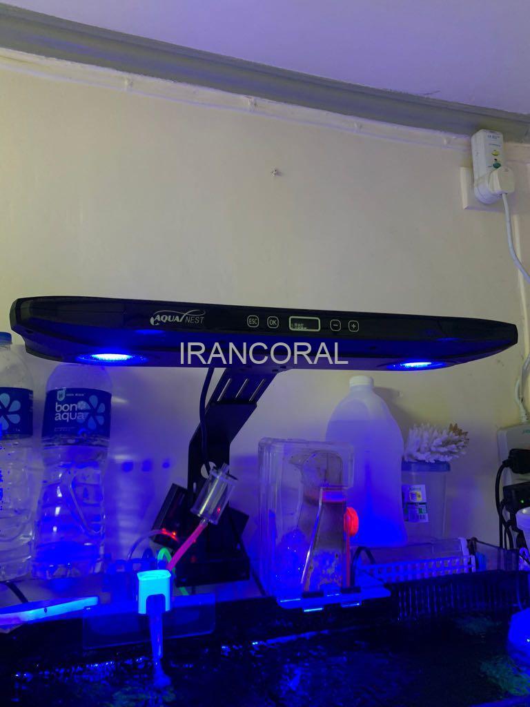 نور آکواریوم آب شور M7 آکوانست