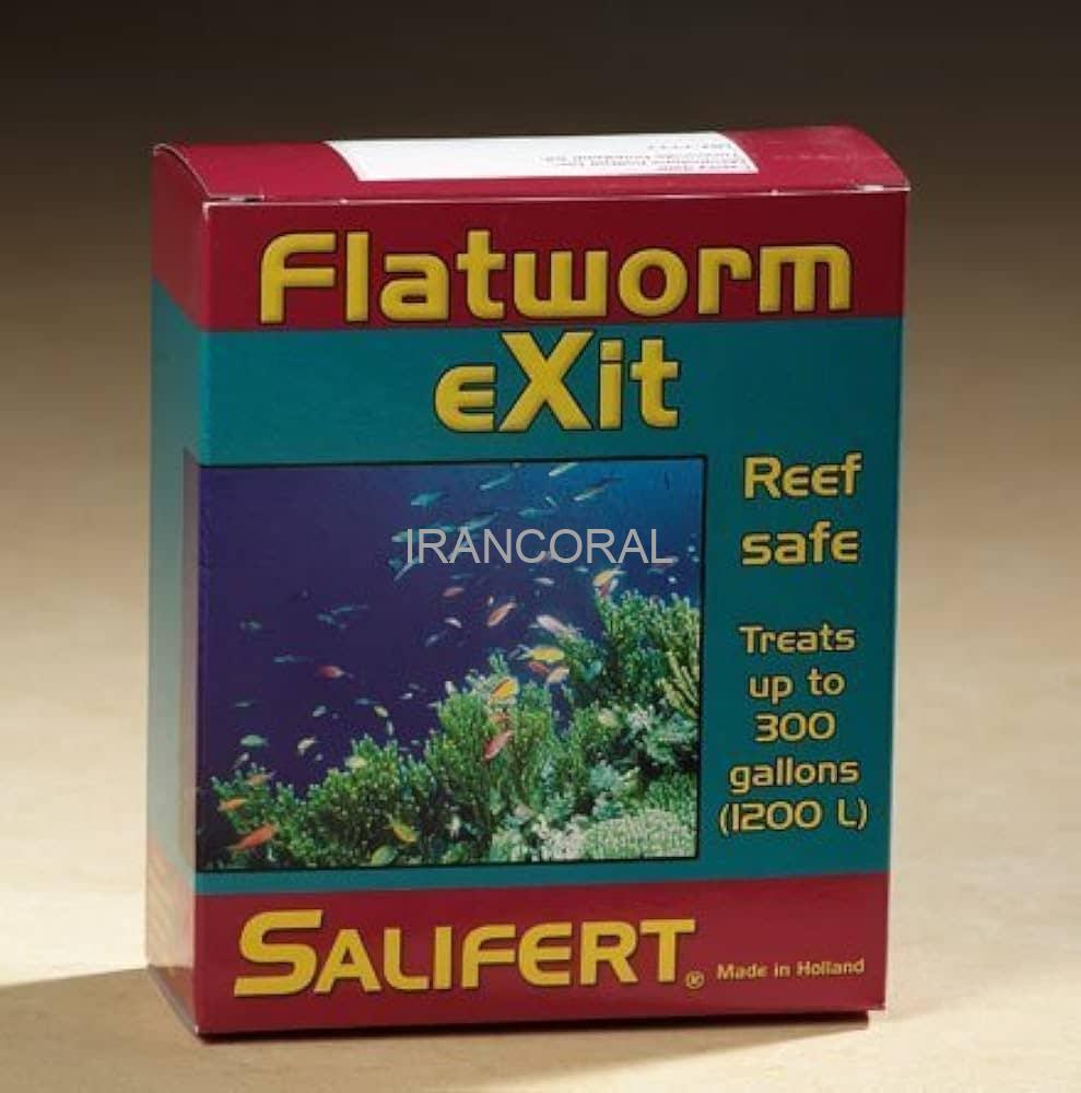 فلت ورم اگزیت سالیفرت