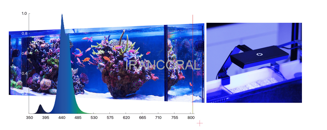 نور آب شور نانو ایکس میکمول