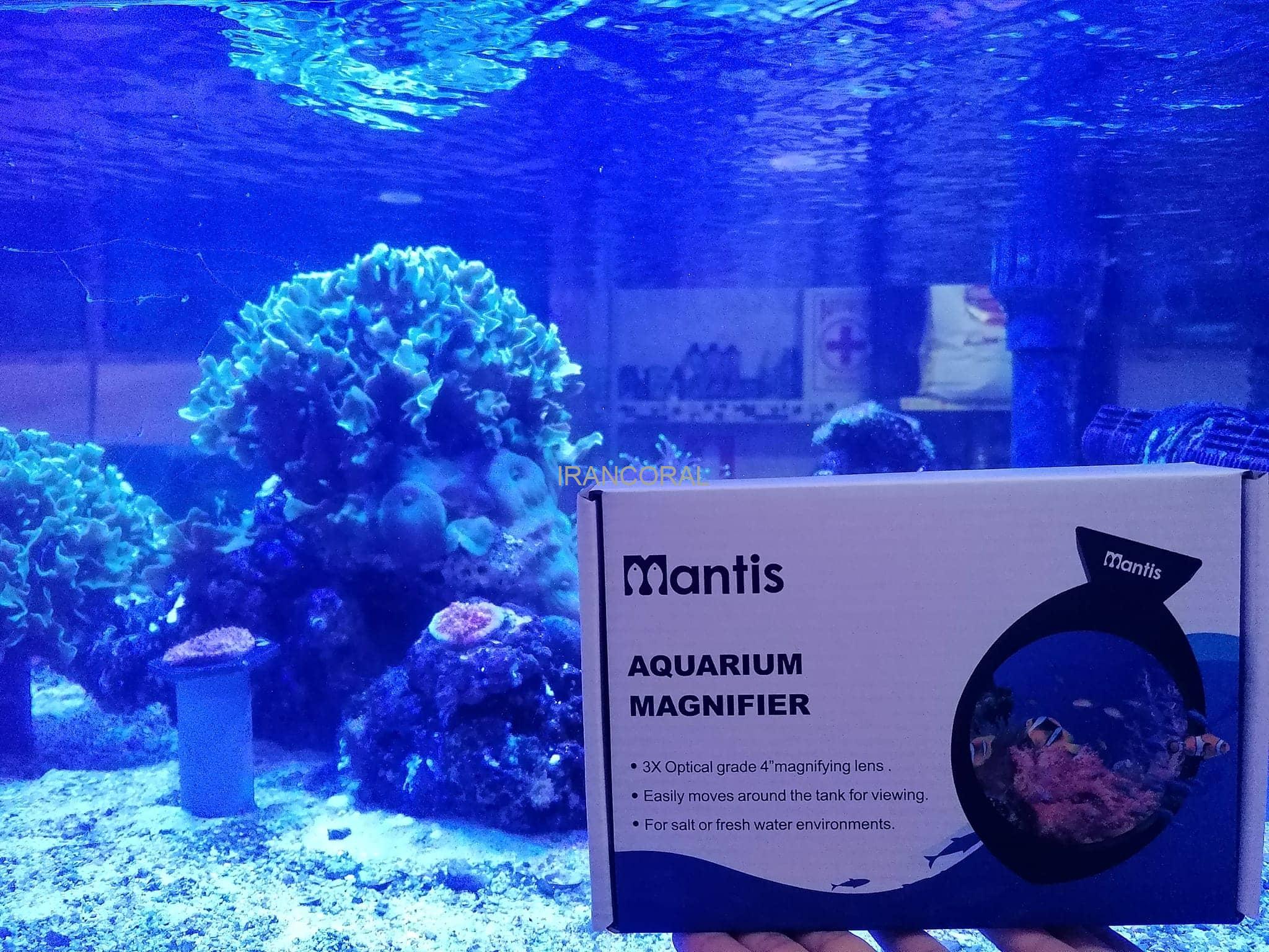 ذره بین آکواریوم مانتیس