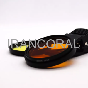 کیت لنز عکاسی آکواریوم مانتیس