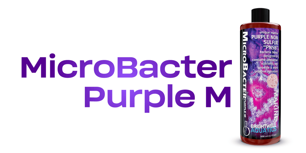 باکتری جدید کمپانی برایتول آکواتیک معرفی شد