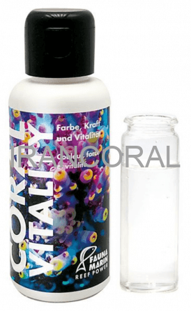 کورال ویتالیتی فائونا مارین