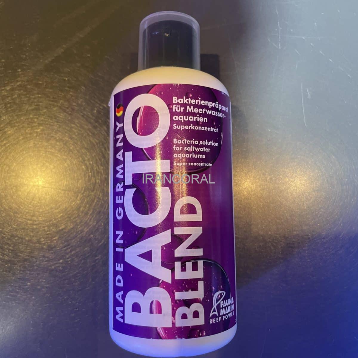 باکتو ریف بلند فائونا مارین