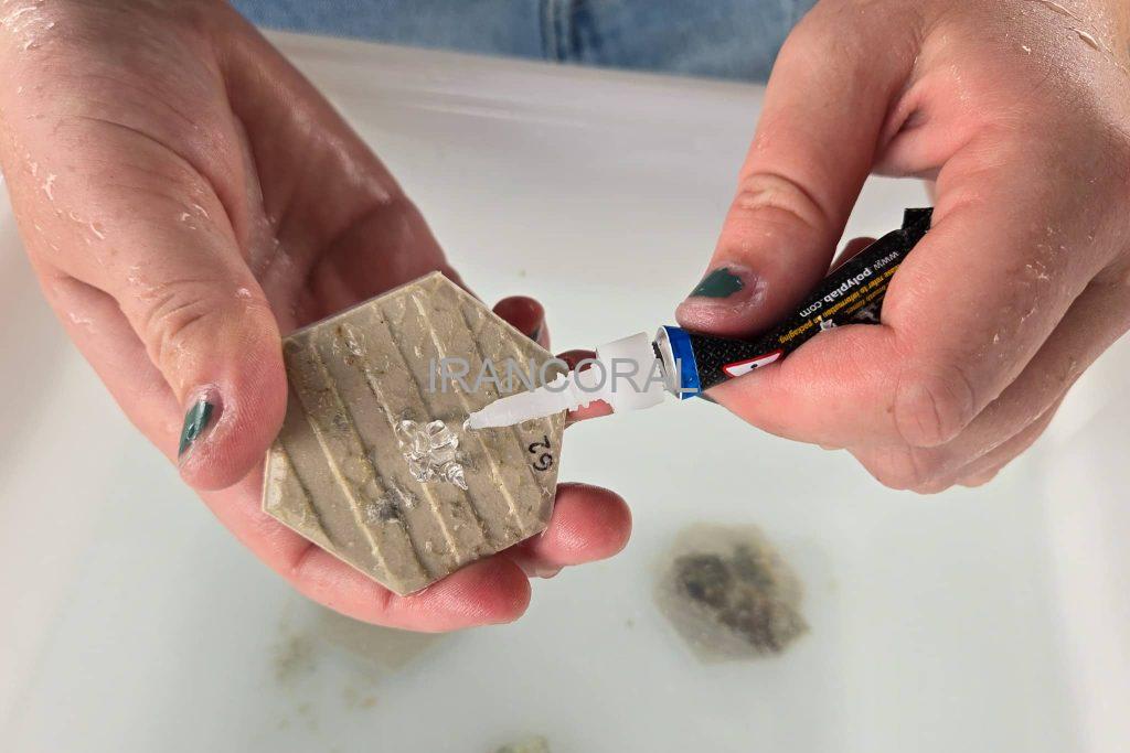 دانشگاه هاوایی، حفاظت از مرجان ها را به نسل بعدی می آموزد