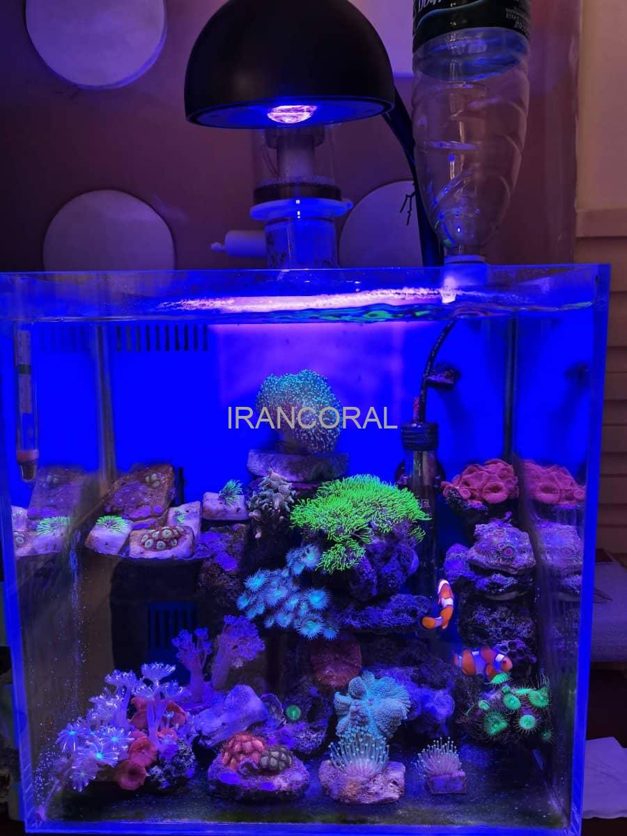 نور آکواریوم مرجانی K7 مینی