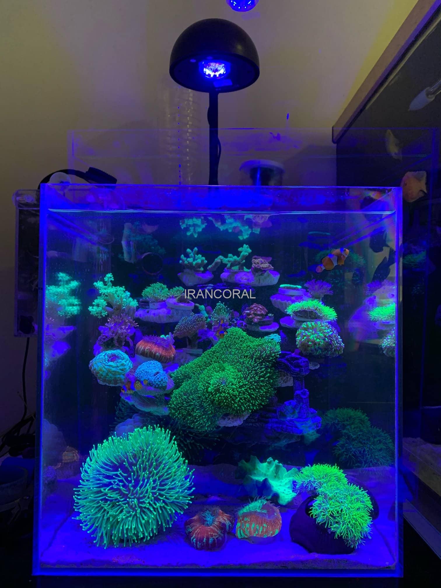 نور آکواریوم مرجانی K7 مینی