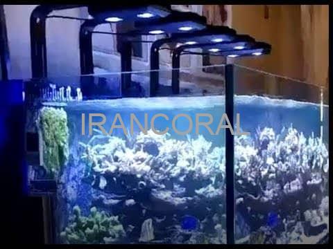 نور آکواریوم مرجانی K7 پرو