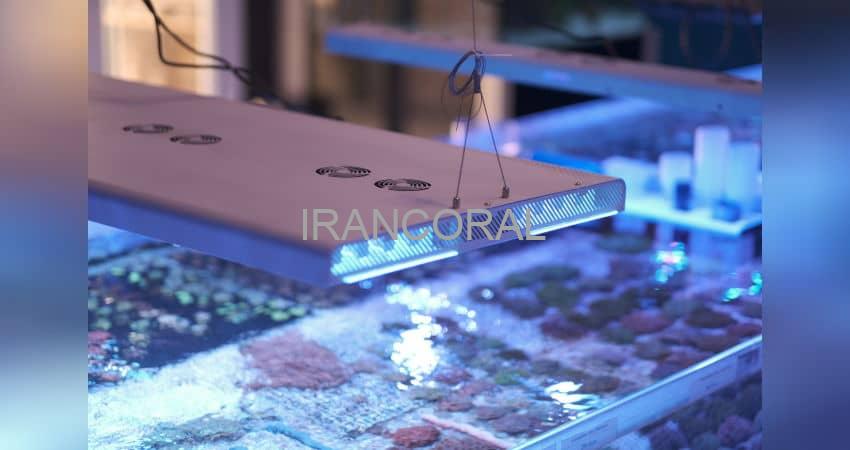 نور هیبرید پاندورا S2 پاسیفیک سان