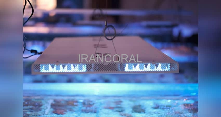 نور هیبرید پاندورا S2 پاسیفیک سان