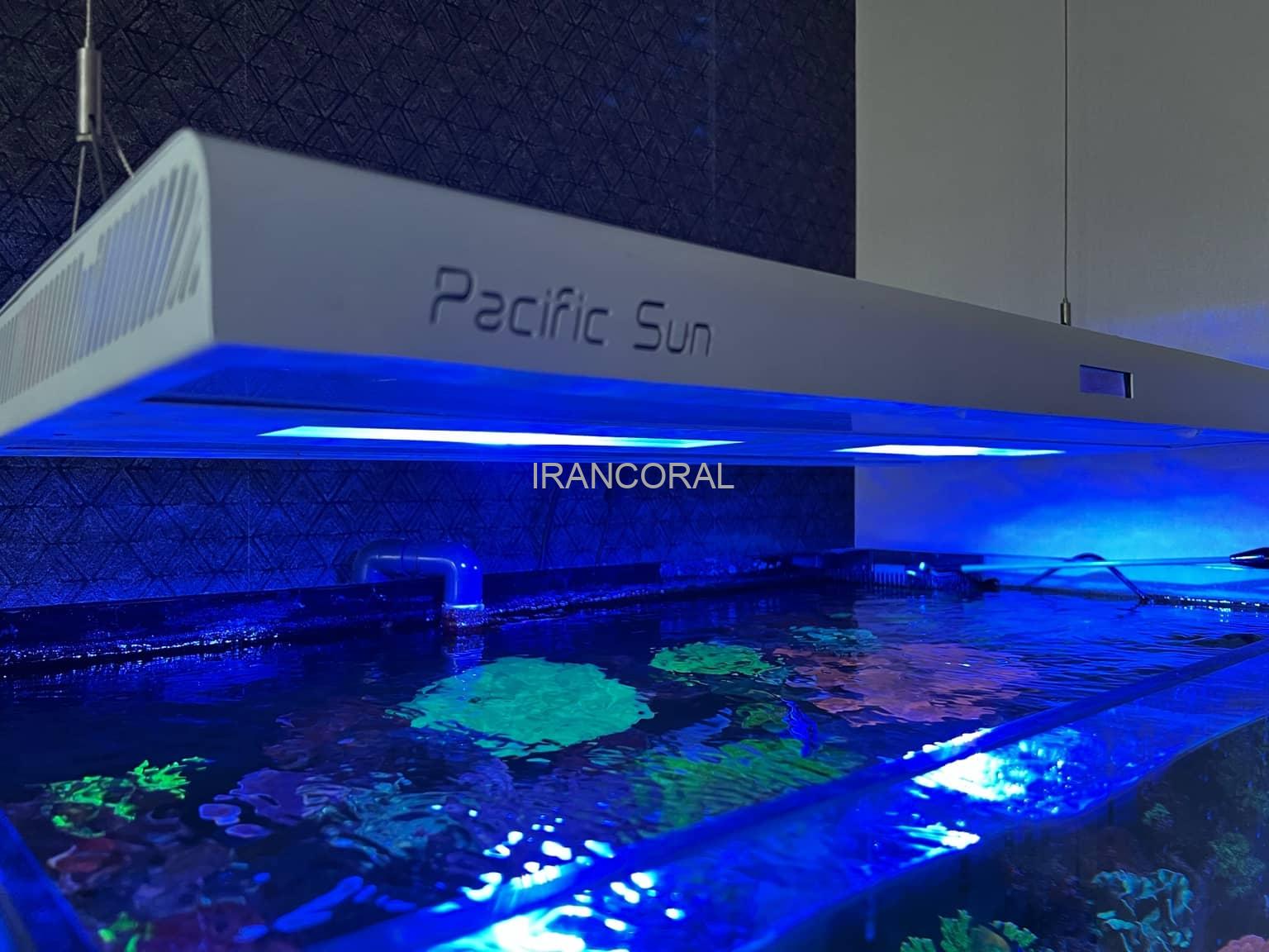 نور هیبرید پاندورا S2 پاسیفیک سان