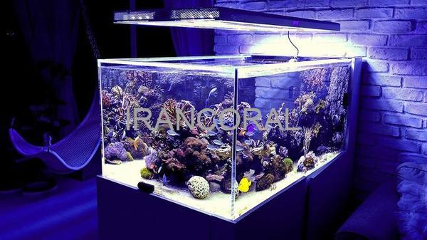 نور هیبرید پاندورا S2 پاسیفیک سان