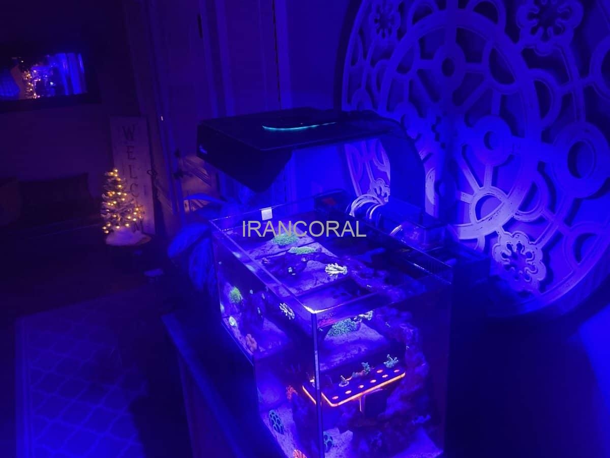 نور آب شور ادرال اینفینیتی مکس اسپکت