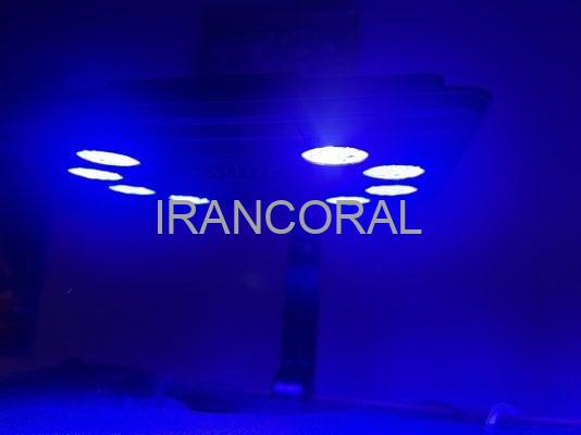 نور آب شور مکس اسپکت MJ-L290 بلو