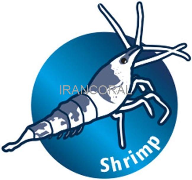 تور ماهی آکواریوم هابی سایز XL